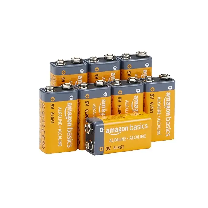 AmazonBasics 9 Volt Everyday Alkaline Battries 1 Piece