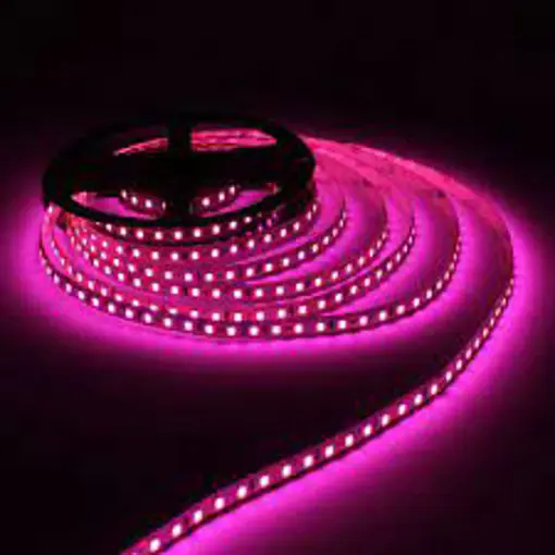 12V 120 Led Strip 5mm Roll Pink Colour
